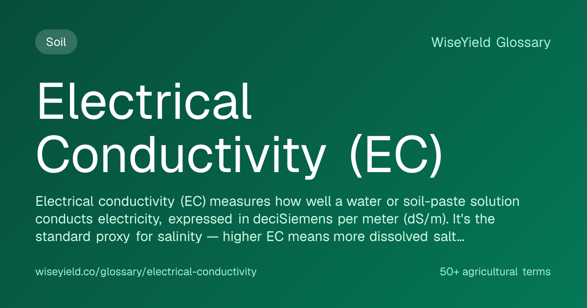 Electrical Conductivity (EC): Definition, Meaning & How It Works ...