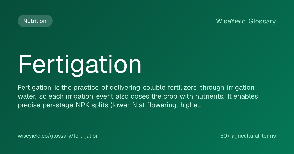 Fertigation: Definition, Meaning & How It Works | WiseYield Glossary